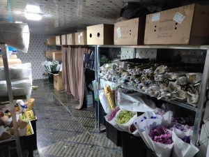 上?！ぜ味?5立方鮮花冷庫保鮮庫