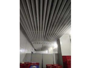 上海·嘉定500立方冷凍庫(kù)（可放100噸貨）-18度